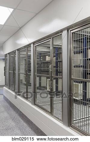 Stock Photography - Metal doors of empty cages in animal shelter. Fotosearch