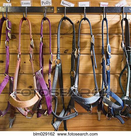 Reins hanging from stalls in barn View Large Photo Image Stock Image - Reins hanging from stalls in barn. Fotosearch