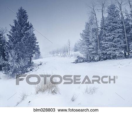Stock Image - Snowy landscape. Fotosearch