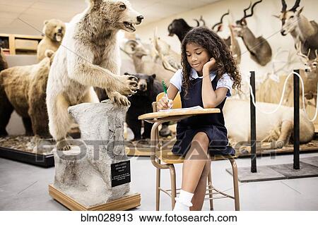 Stock Image - Student taking notes by stuffed bear in museum. Fotosearch