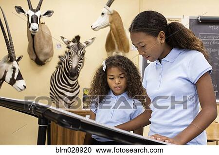 Stock Image - Students reading display in museum. Fotosearch