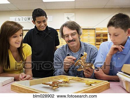Stock Image - Teacher showing butterfly specimens to students. Fotosearch