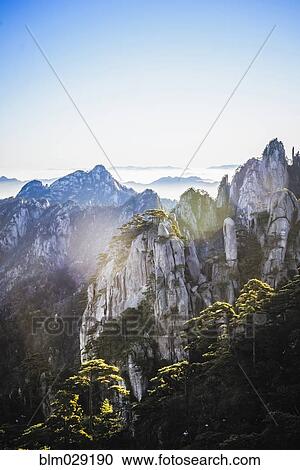 Trees growing on rocky mountains, Huangshan, Anhui, China View Large Photo Image Stock Image - Trees growing on rocky mountains, Huangshan, Anhui, China. Fotosearch