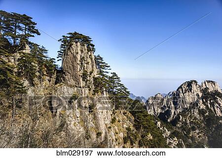 Trees growing on rocky mountains, Huangshan, Anhui, China View Large Photo Image Stock Photo - Trees growing on rocky mountains, Huangshan, Anhui, China. Fotosearch