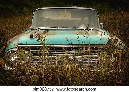 Vintage car parked in tall grass View Large Photo Image Stock Photo - Vintage car parked in tall grass. Fotosearch
