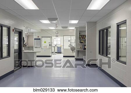 Stock Image - Windows and doors in empty animal shelter. Fotosearch