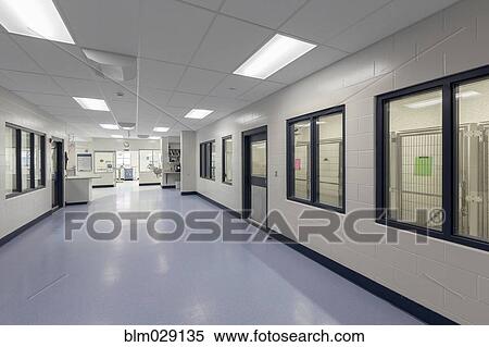 Stock Photography - Windows and doors in empty animal shelter. Fotosearch