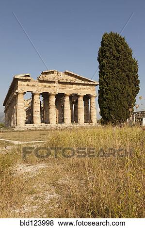 Ancient ruins in rural landscape, Paestum, Campania, Italy View Large Photo Image Stock Photo - Ancient ruins in rural landscape, Paestum, Campania, Italy. Fotosearch
