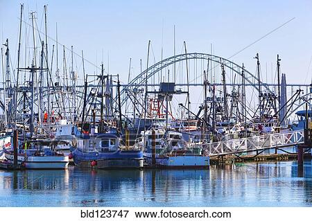 Boats mooring in harbor, Newport, Oregon, United States View Large Photo Image Stock Photo - Boats mooring in harbor, Newport, Oregon, United States. Fotosearch