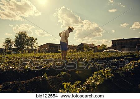 Farmer working in field View Large Photo Image Picture - Farmer working in field. Fotosearch