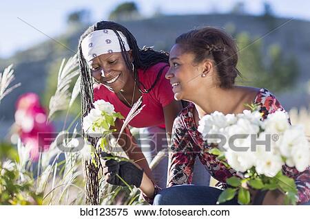 Mother and daughter picking flowers outdoors View Large Photo Image Stock Photography - Mother and daughter picking flowers outdoors. Fotosearch