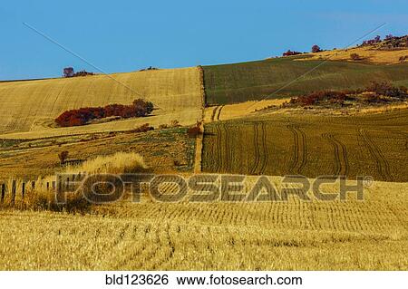 Rural landscape View Large Photo Image Stock Photograph - Rural landscape. Fotosearch