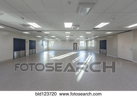 Sunlight in empty animal training room View Large Photo Image Stock Image - Sunlight in empty animal training room. Fotosearch
