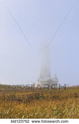 Yaquina Head Lighthouse cloaked in fog, Newport, Oregon, United States View Large Photo Image Stock Image - Yaquina Head Lighthouse cloaked in fog, Newport, Oregon, United States. Fotosearch