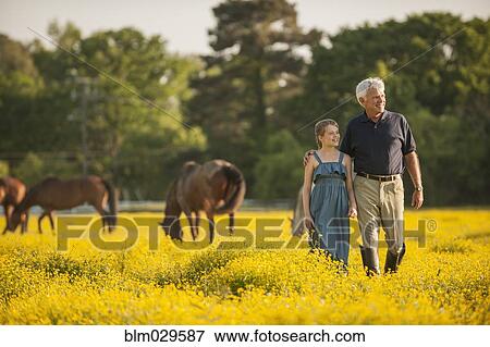 Caucasian man and granddaughter in field with horses View Large Photo Image Stock Photo - Caucasian man and granddaughter in field with horses. Fotosearch