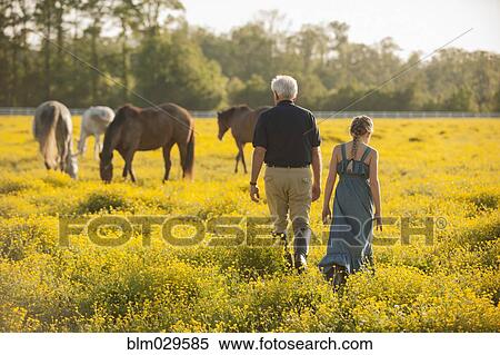 Caucasian man and granddaughter in field with horses View Large Photo Image Stock Photography - Caucasian man and granddaughter in field with horses. Fotosearch