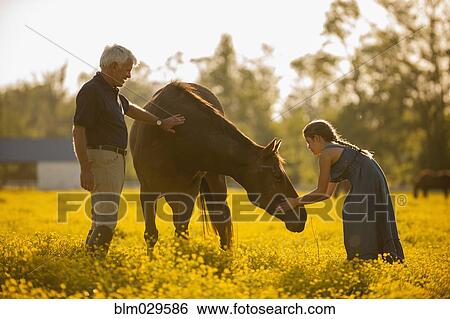 Caucasian man and granddaughter petting horse in field View Large Photo Image Stock Photograph - Caucasian man and granddaughter petting horse in field. Fotosearch