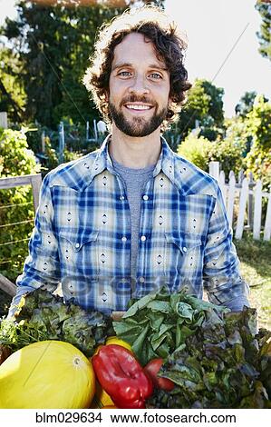 Picture - Caucasian man harvesting vegetables in garden. Fotosearch