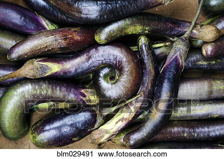Stock Image - Close up of pile of eggplants. Fotosearch