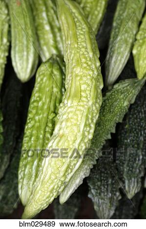 Close up of pile of peppers View Large Photo Image Stock Photo - Close up of pile of peppers. Fotosearch