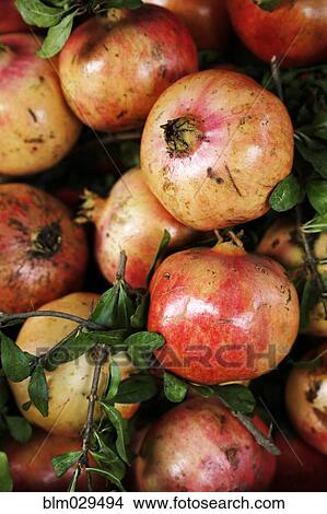 Picture - Close up of pile of pomegranates. Fotosearch
