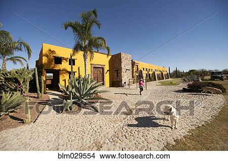 Picture - Hispanic woman chasing dog on ranch. Fotosearch