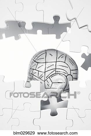 Jigsaw puzzle of sections of brain View Large Photo Image Stock Photo - Jigsaw puzzle of sections of brain. Fotosearch