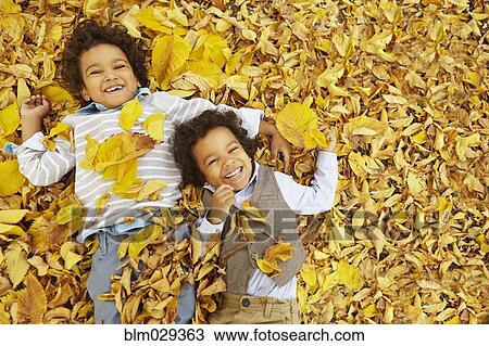 Mixed race boys laying in yellow autumn leaves View Large Photo Image Stock Image - Mixed race boys laying in yellow autumn leaves. Fotosearch