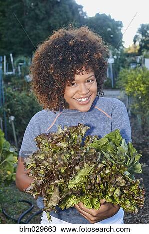 Mixed race woman picking lettuce in garden View Large Photo Image Stock Image - Mixed race woman picking lettuce in garden. Fotosearch