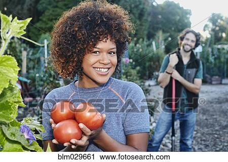 Mixed race woman picking tomatoes in garden View Large Photo Image Stock Image - Mixed race woman picking tomatoes in garden. Fotosearch