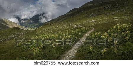 Mountain path, Mt. Blanc, Switzerland View Large Photo Image Stock Photography - Mountain path, Mt. Blanc, Switzerland. Fotosearch