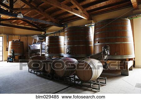 Stock Photography - Wine barrels in vineyard storehouse. Fotosearch
