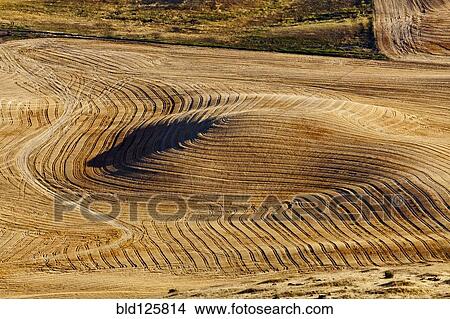 Aerial view of tilled field of wheat View Large Photo Image Picture - Aerial view of tilled field of wheat. Fotosearch