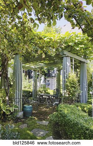 Benches under columns in lush garden View Large Photo Image Stock Photograph - Benches under columns in lush garden. Fotosearch