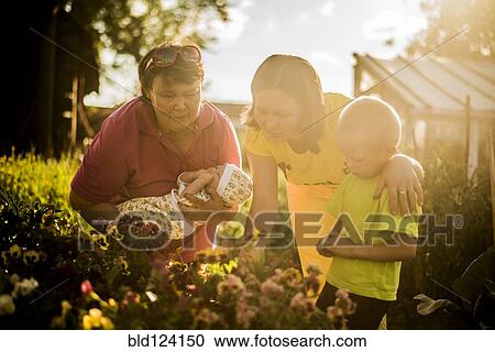 Stock Image - Caucasian family examining flowers in garden. Fotosearch