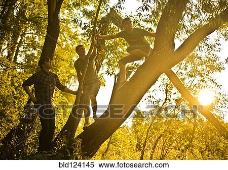 Stock Photography - Caucasian men climbing tree in forest. Fotosearch