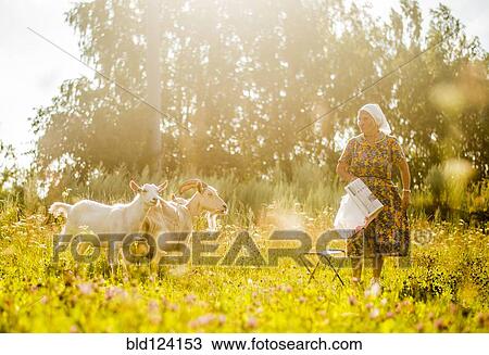 Stock Image - Caucasian woman tending goats in field. Fotosearch