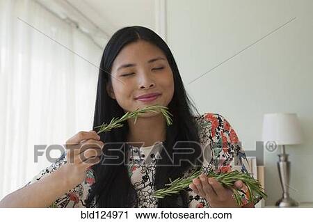 Chinese woman smelling fresh rosemary View Large Photo Image Stock Image - Chinese woman smelling fresh rosemary. Fotosearch