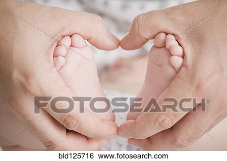 Stock Photograph - Close up of Hispanic mother cupping baby boy's feet. Fotosearch
