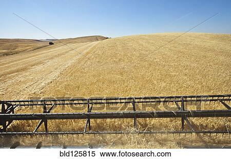 Combine harvester working in field View Large Photo Image Stock Photography - Combine harvester working in field. Fotosearch