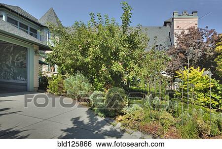 Stock Photograph - Garden flanking driveway. Fotosearch