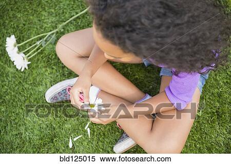 Mixed race girl picking petals off daisy View Large Photo Image Stock Photography - Mixed race girl picking petals off daisy. Fotosearch