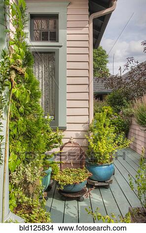 Potted plants on patio View Large Photo Image Picture - Potted plants on patio. Fotosearch