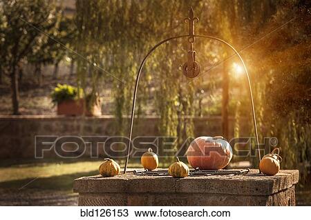 Pumpkins on stone well View Large Photo Image Stock Image - Pumpkins on stone well. Fotosearch