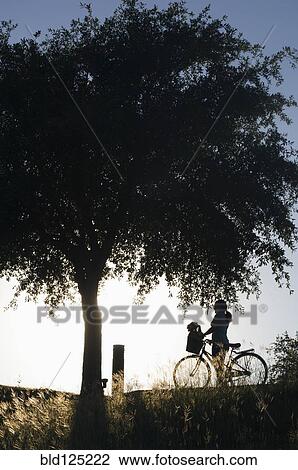 Stock Image - Silhouette of mixed race woman with bicycle in park. Fotosearch