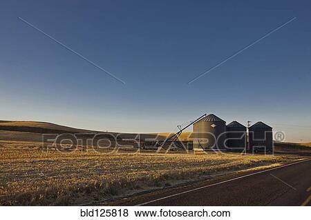 Silos along rural road under blue sky View Large Photo Image Stock Photo - Silos along rural road under blue sky. Fotosearch
