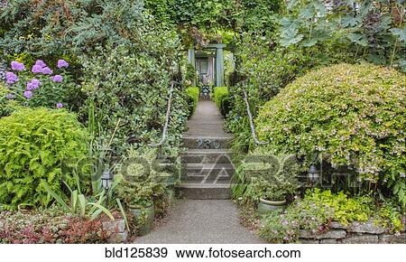 Steps in lush garden View Large Photo Image Stock Photo - Steps in lush garden. Fotosearch