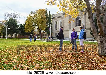 Students talking on campus View Large Photo Image Stock Photograph - Students talking on campus. Fotosearch
