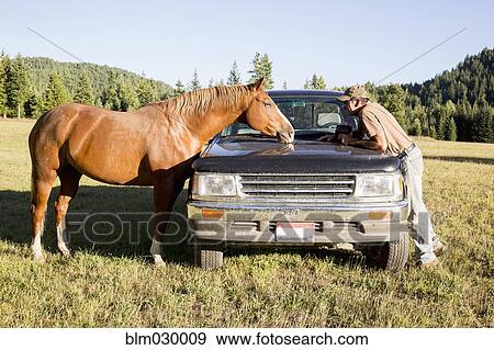 Stock Photo - Caucasian man and horse on truck in rural landscape. Fotosearch