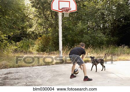 Caucasian man playing basketball with dog View Large Photo Image Picture - Caucasian man playing basketball with dog. Fotosearch